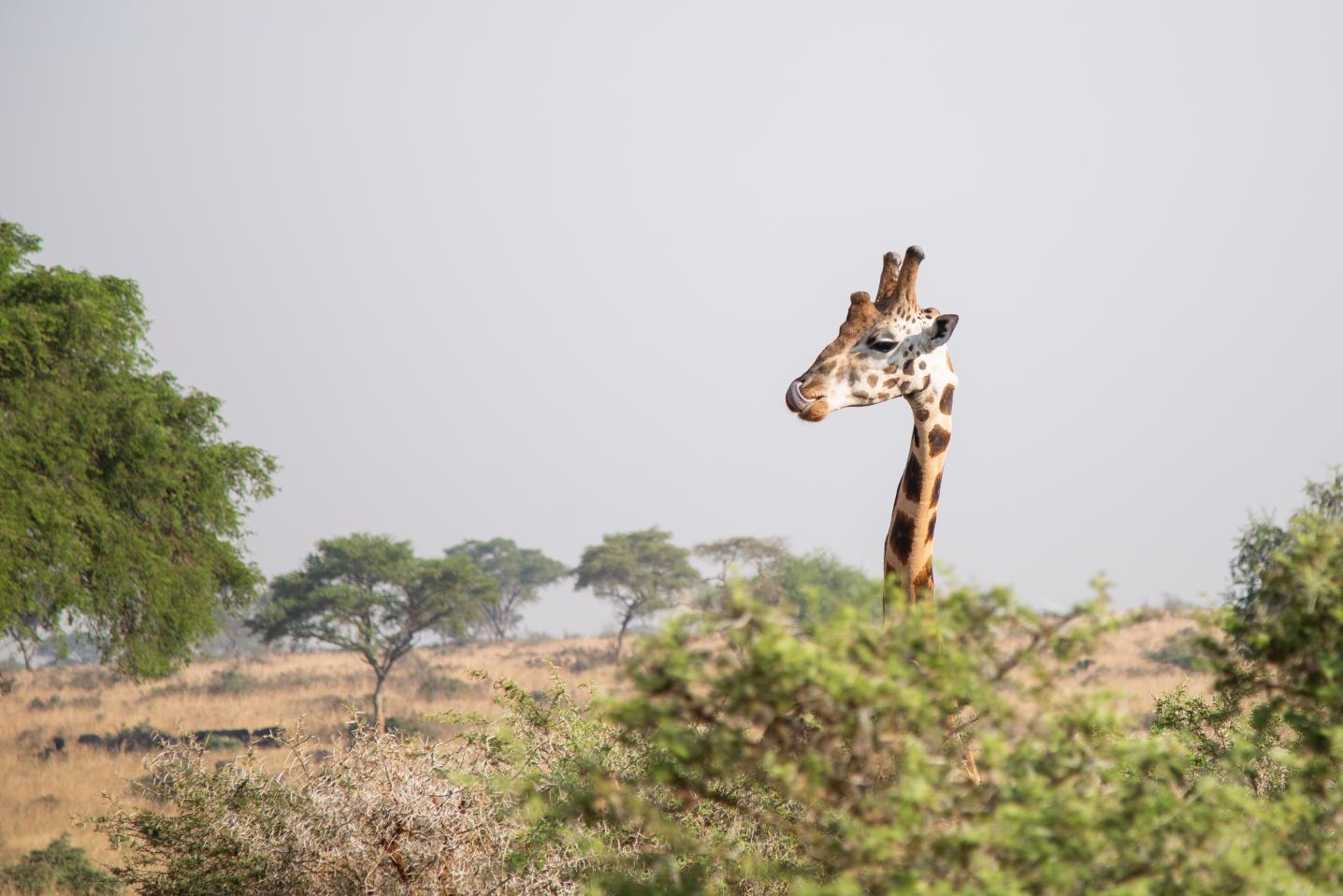 Prime Tours and Adventure