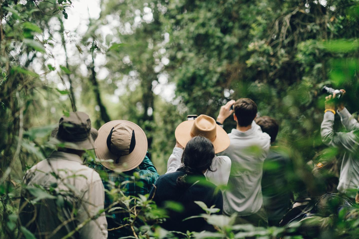 Uzuri Uganda Safaris