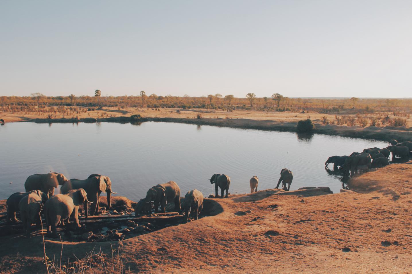 Off 2 Africa