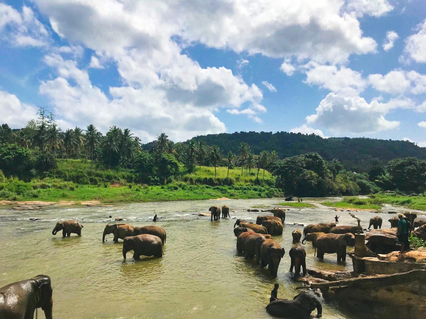 Capital Lanka Tours