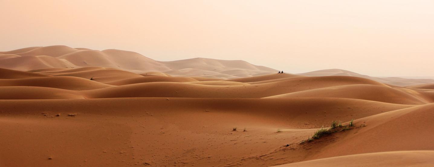 TouaregTrails
