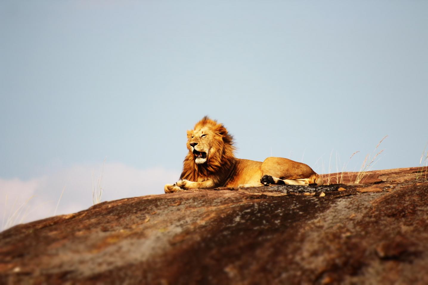 Borderless Tours and Safaris Ltd