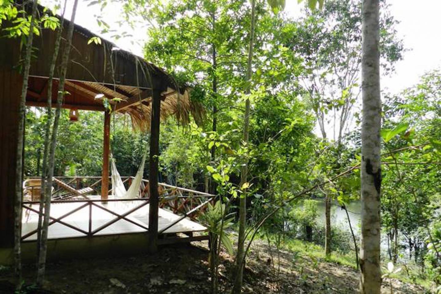 Amazon Amazing Tours