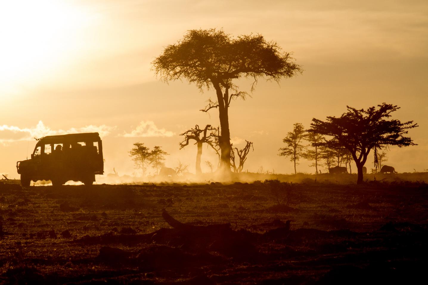 Bestway Tours & Safaris