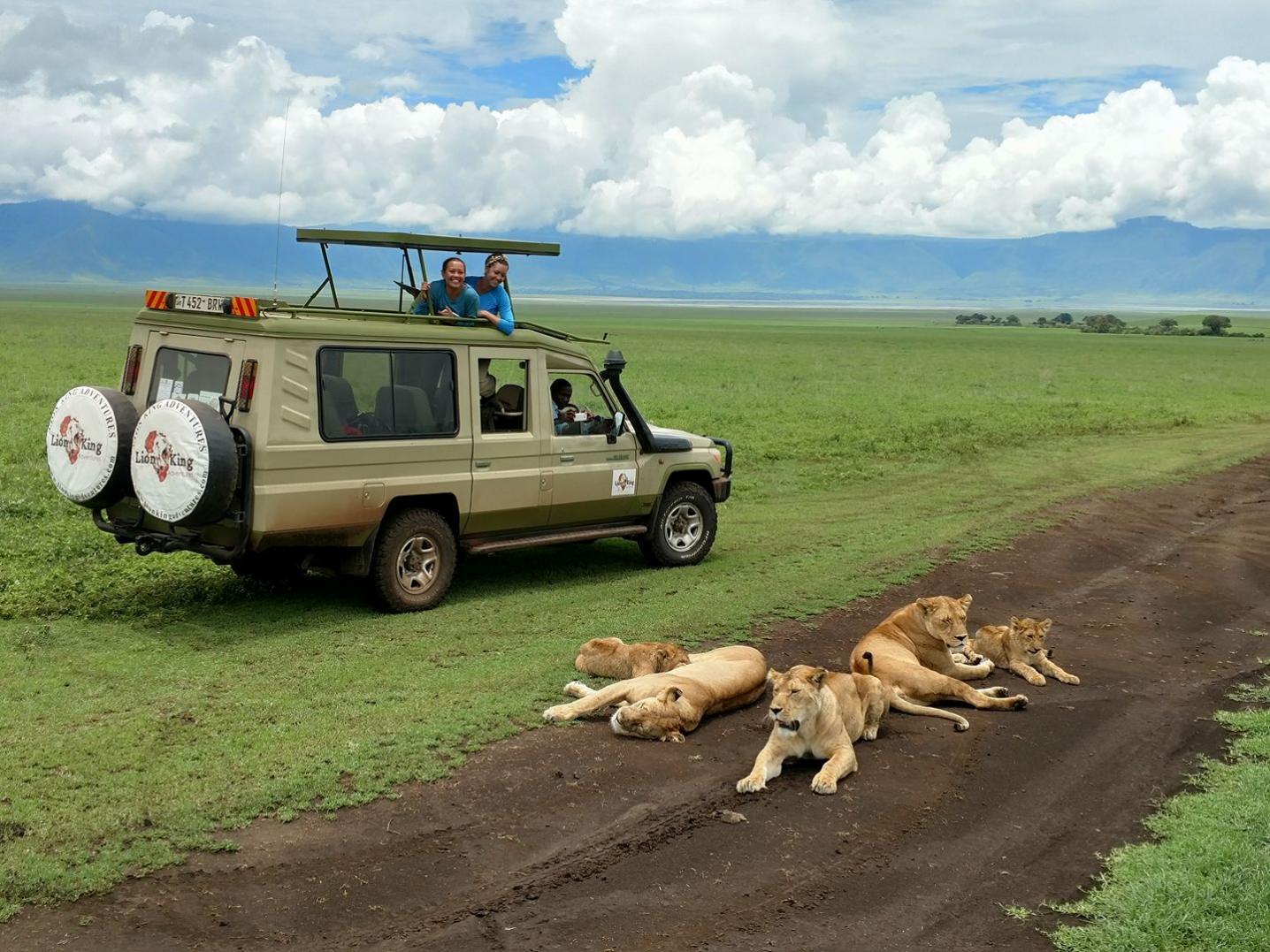 Lion King Adventures