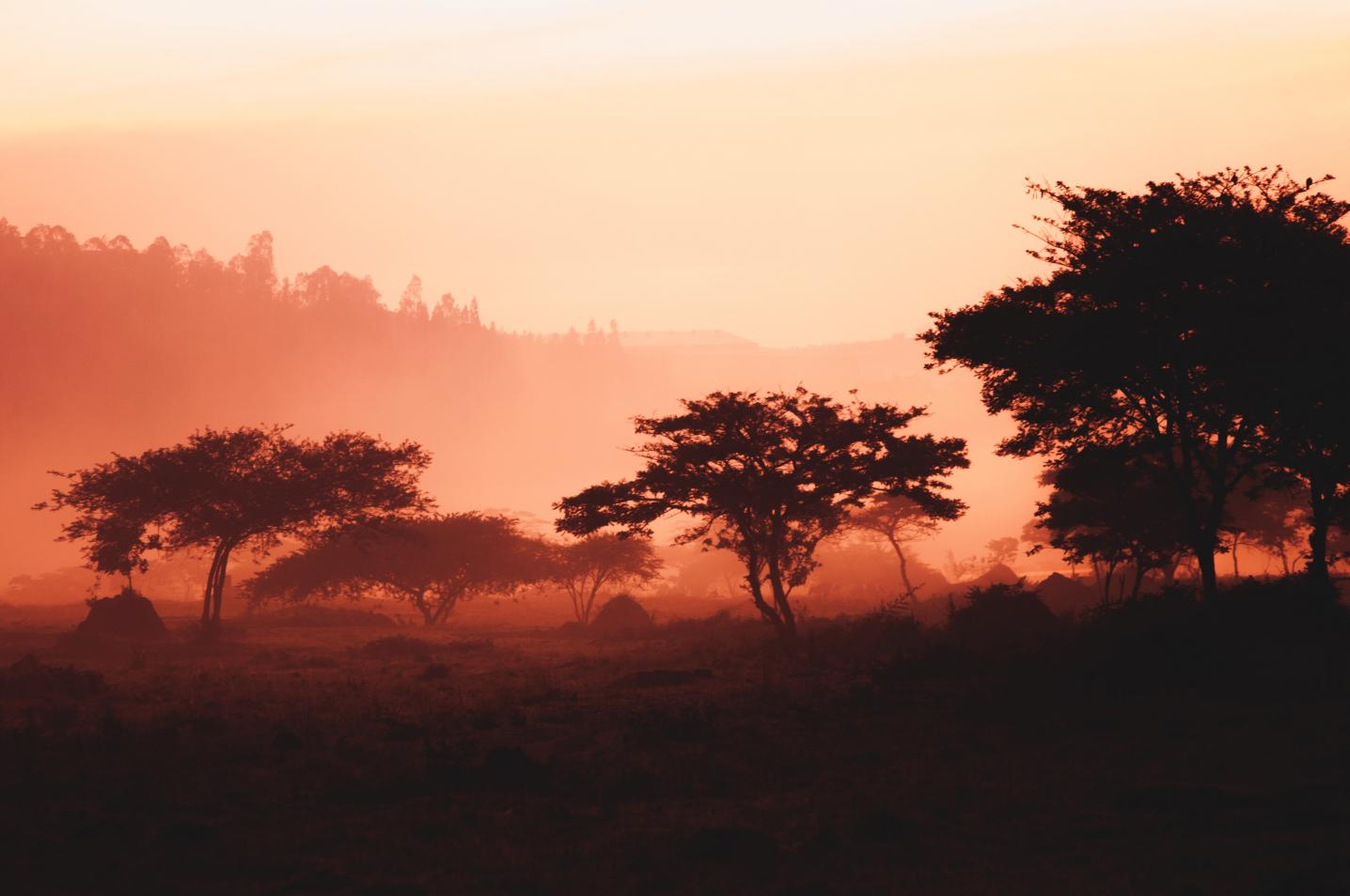 Red Rocks Rwanda
