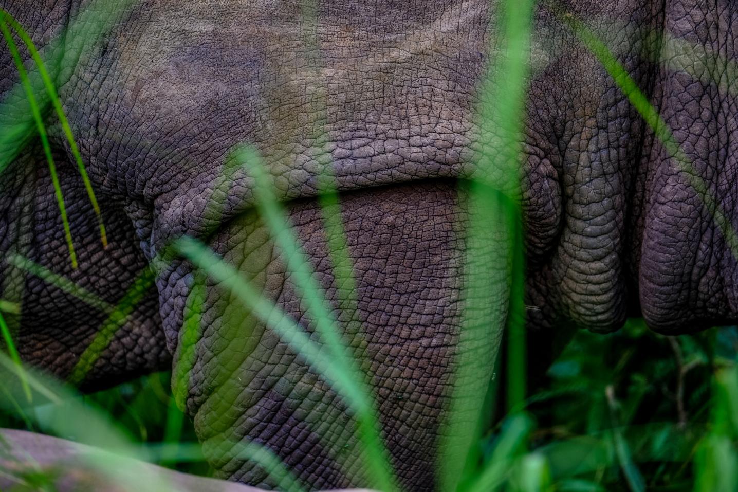 Range Land Safaris Uganda