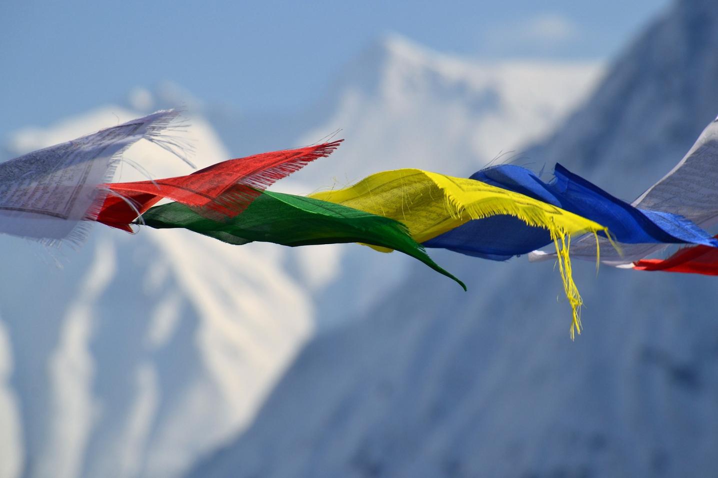 Mission Himalaya Treks And Expeditions PVT. Ltd.
