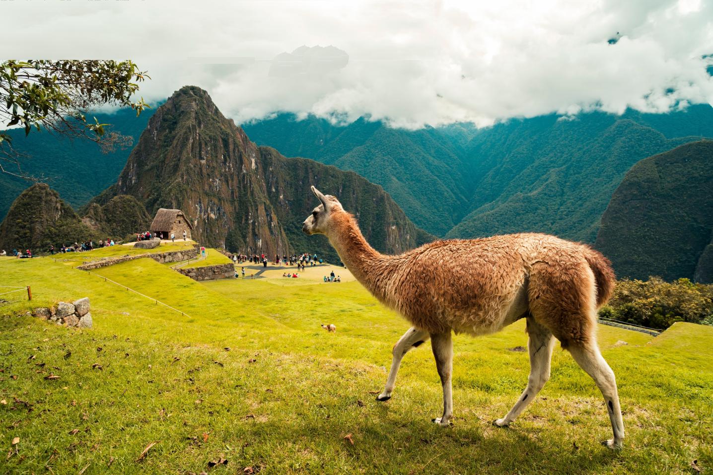 Advice Peru