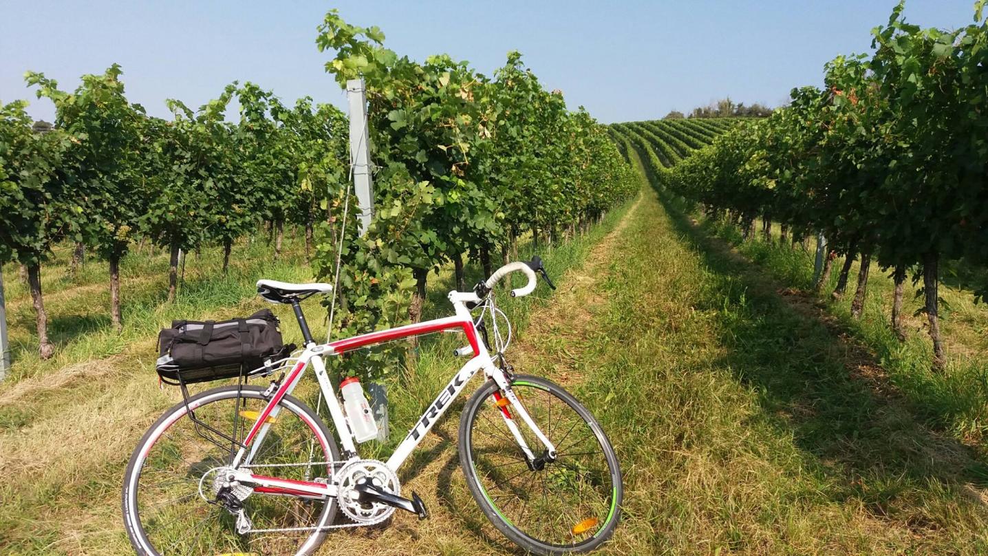 Pedaltours