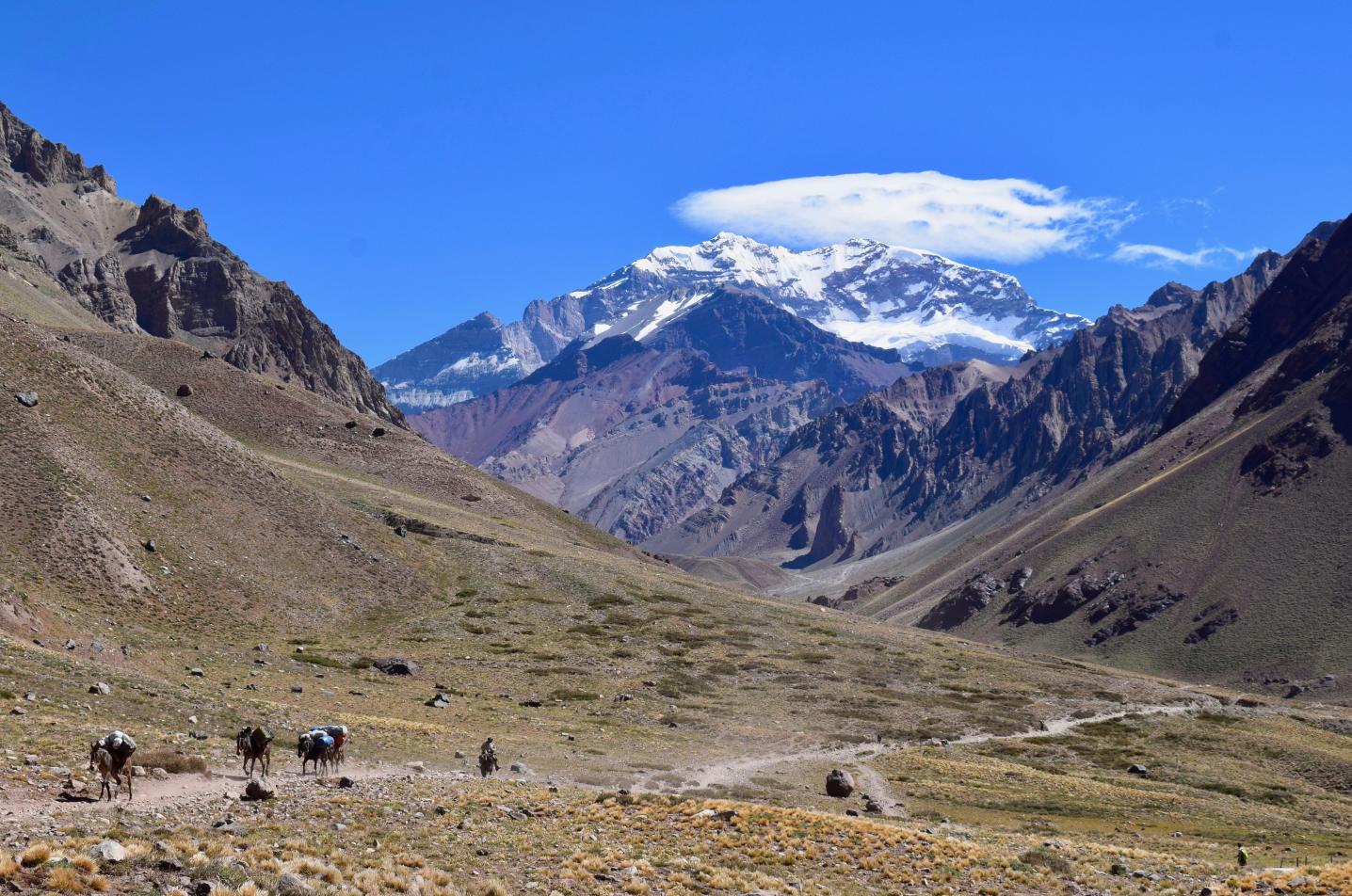 Andes