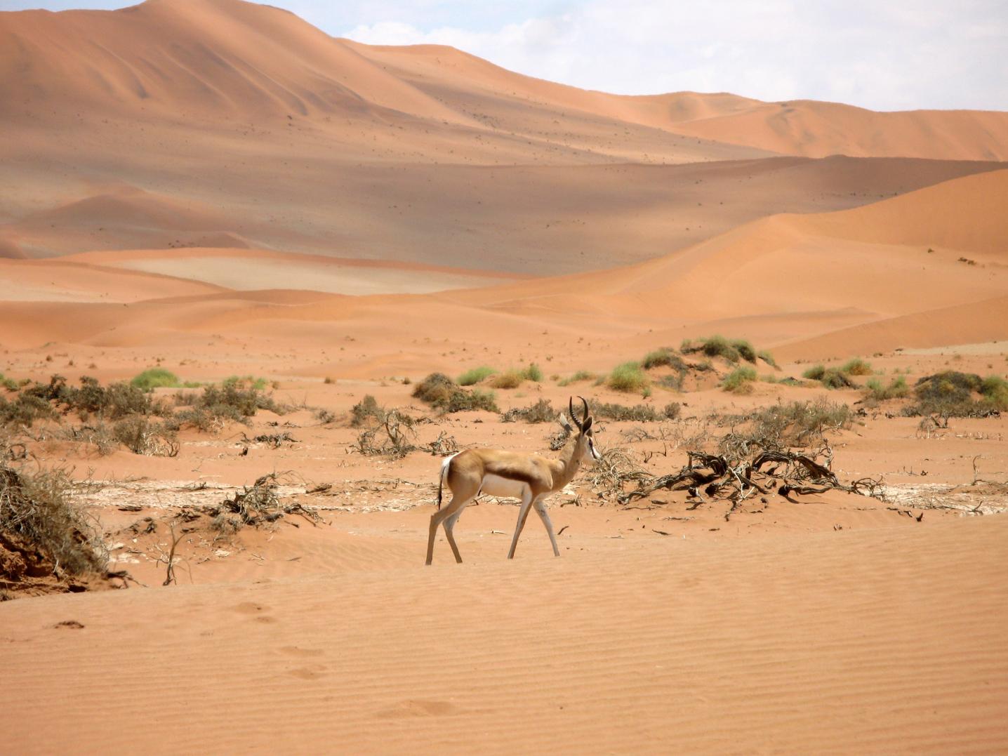 NTTS Namibia