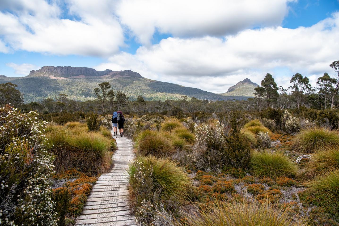 Tours Tasmania