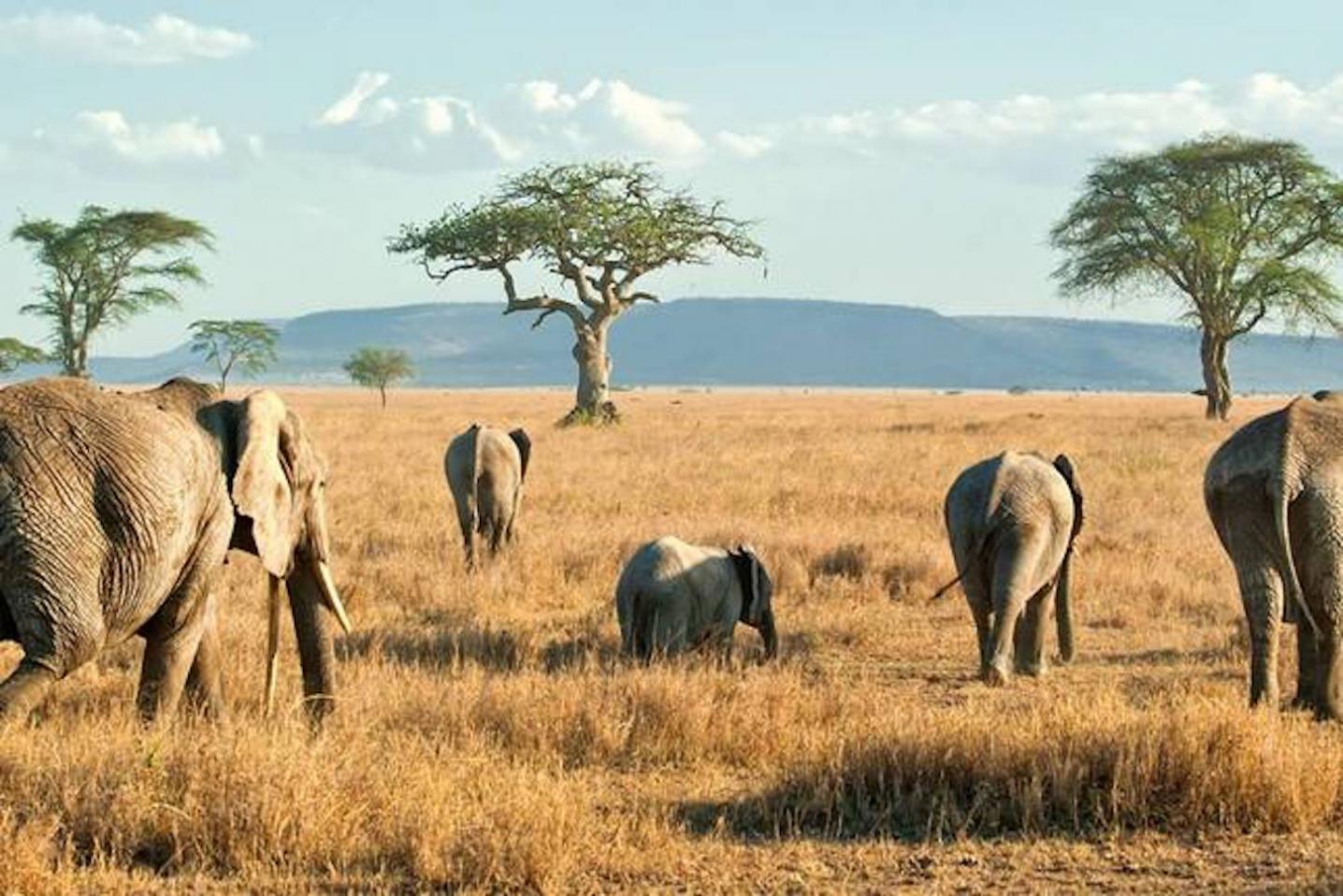 Foot Slopes Tours & Safaris Ltd