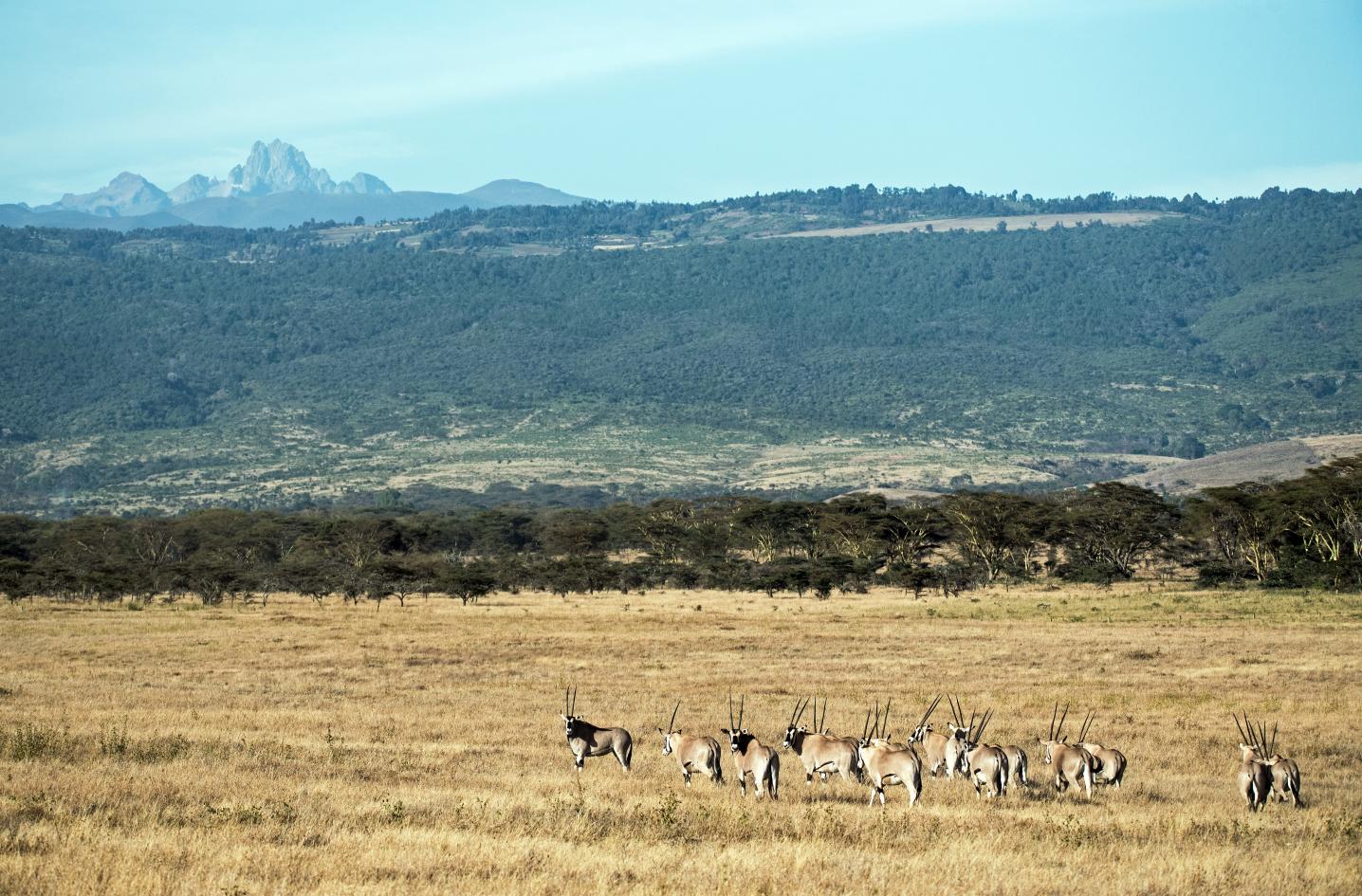 Sana Highlands Trekking Expeditions