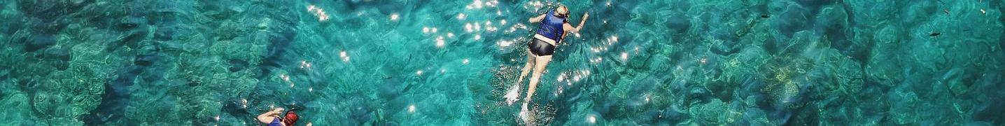 All Wandernesia Tours