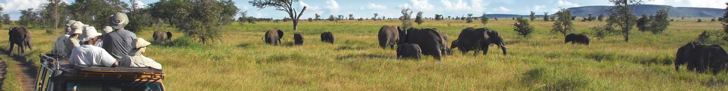 All Real Life Adventure Travel Tours