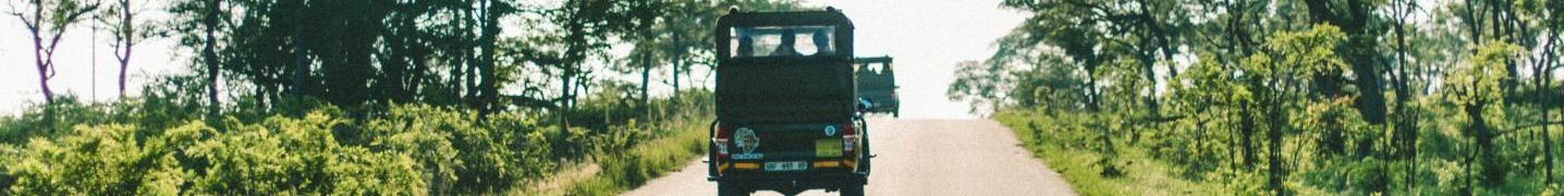 All Virgio Tours