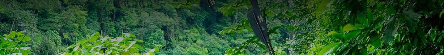 All Green World Adventures Tours