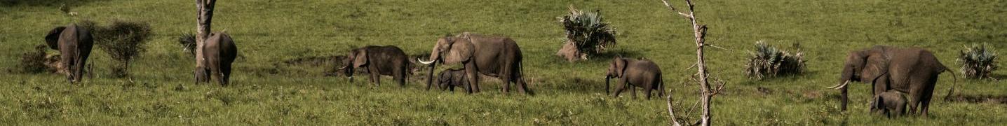 All Pamoja Tours and Travel