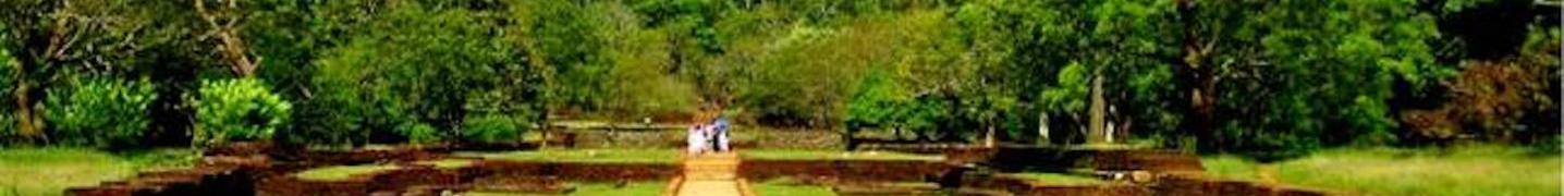 All Lotus Destinations Lanka (Pvt) Ltd Tours