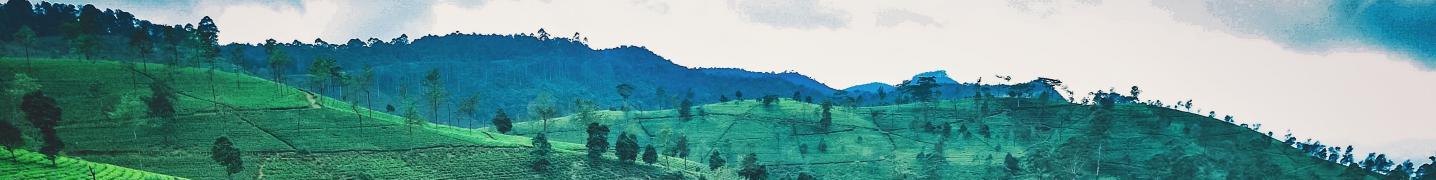 All Holiday Lanka Tours
