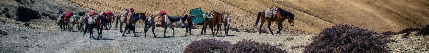 All Explore Himalaya Travel & Adventure Tours