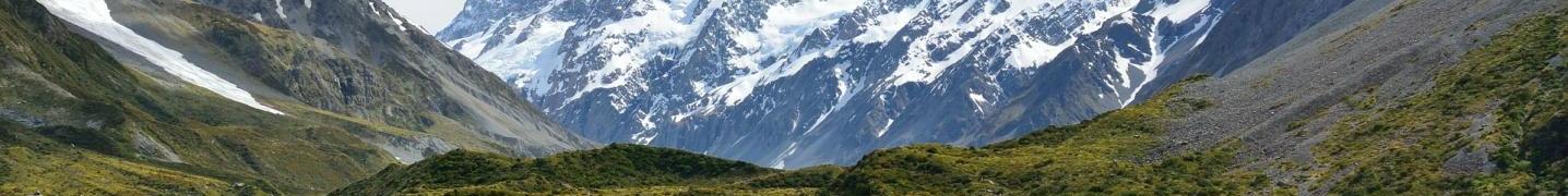 All Haka Tours
