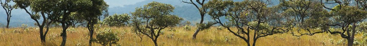 Congo Tours & Trips 2019/2020
