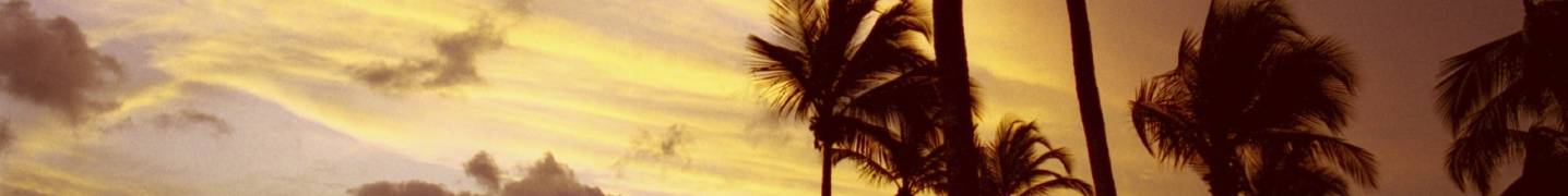 Cote dlvoire Tours & Trips