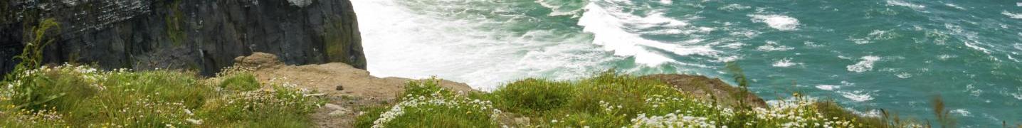 All Brendan Vacations Tours