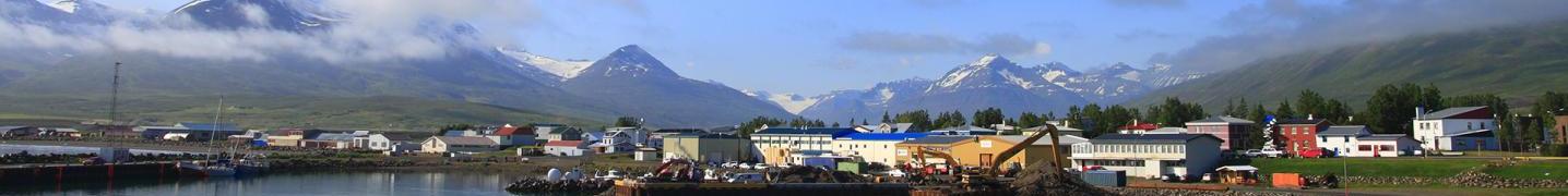 Dalvik Tours and Trips 2018/2019