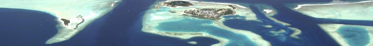 BeachLife Tours Deals and Discounts 2019/2020