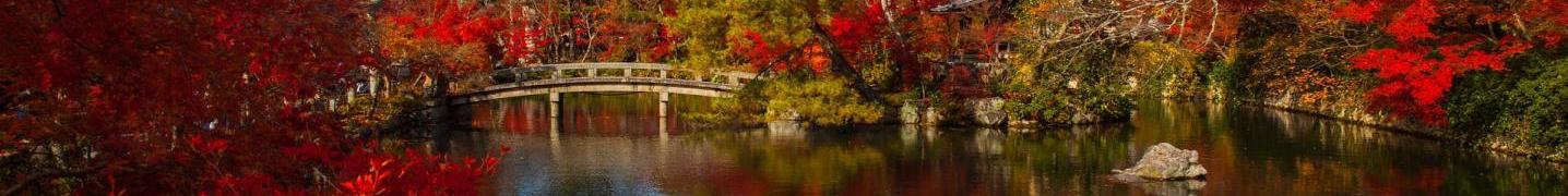 Self-Guided Tours/Trips in Japan
