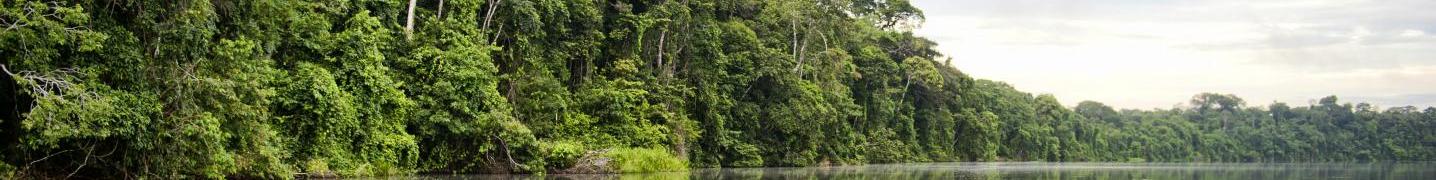 Amazon River Cruises 2019/2020