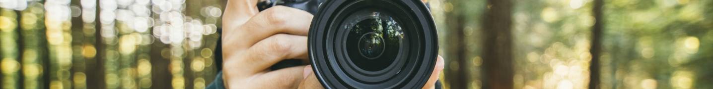 Photography Tours & Trips