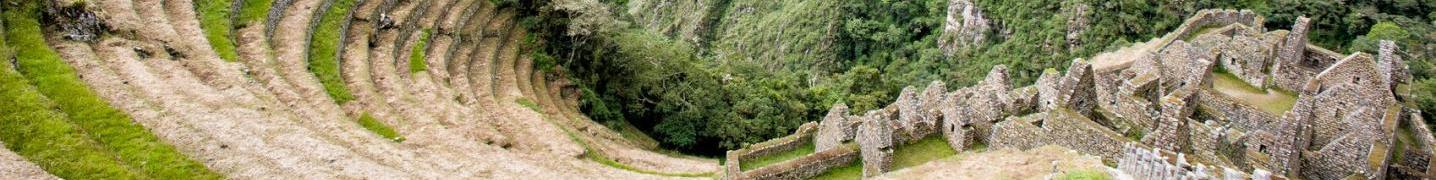 All Oasis Overland Tours