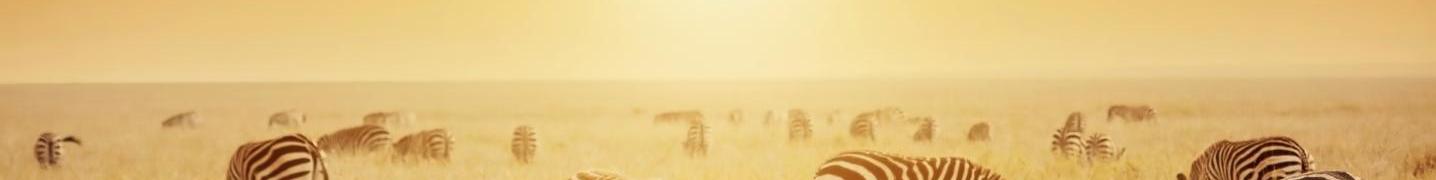 All Nomad Africa Adventure Tours