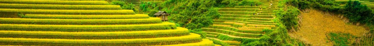 All Custom Vietnam Travel Tours