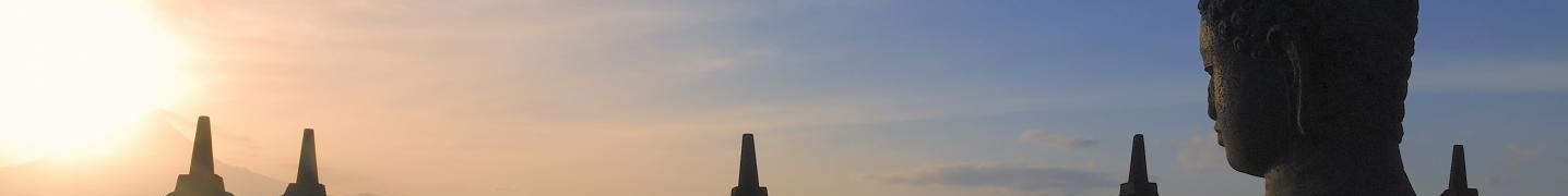 All Orangutan Odysseys Tours