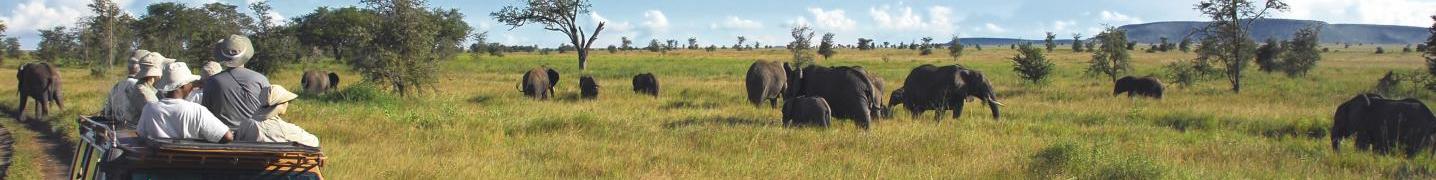 All SedAdventures Tours and Safaris
