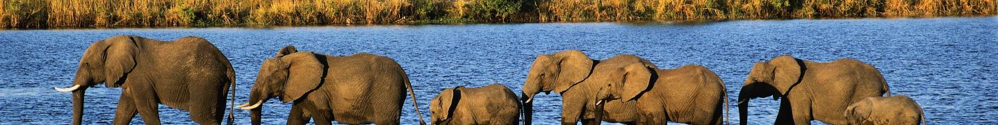 All Nature Expeditions Africa Ltd Tours