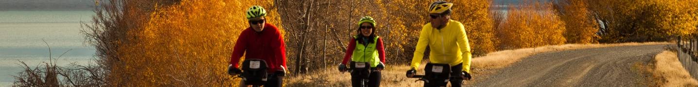 All Adventure South Tours