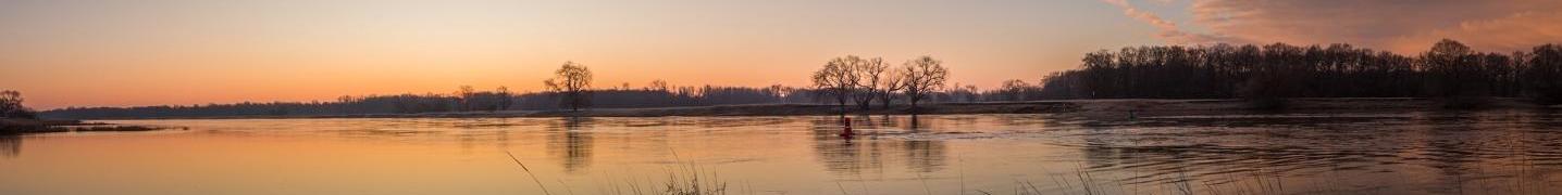 Elbe River Cruises 2018/2019