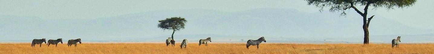 Africa Deals and Discounts
