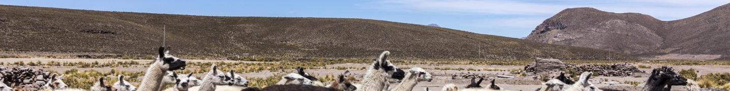 Andes Mountains Tours & Trips 2019/2020