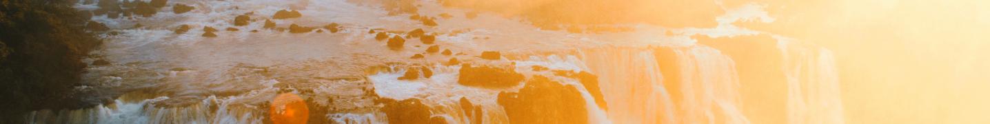 Pantanal Tours & Trips