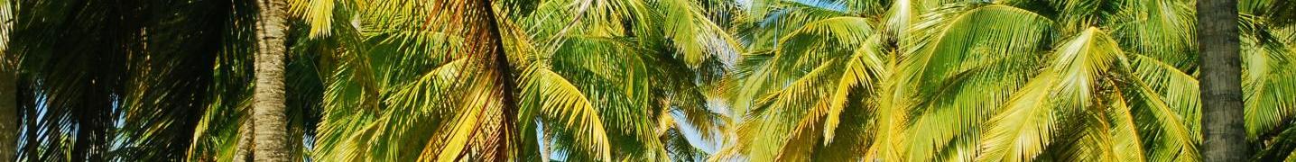 Los Llanos Tours & Trips
