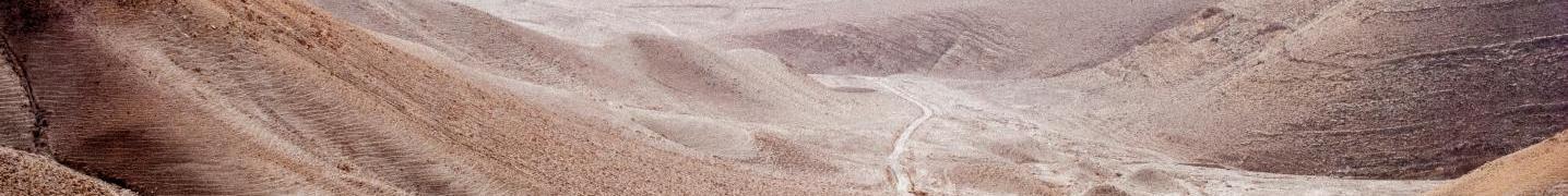 Dead Sea Tours & Trips