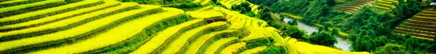 Laos Highlands Tours & Trips